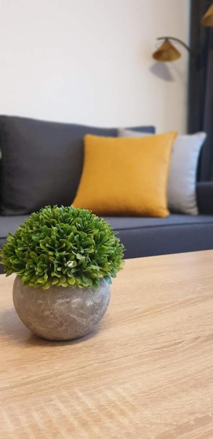 شقة كراكوفيا  في Apartament Barbary المظهر الخارجي الصورة